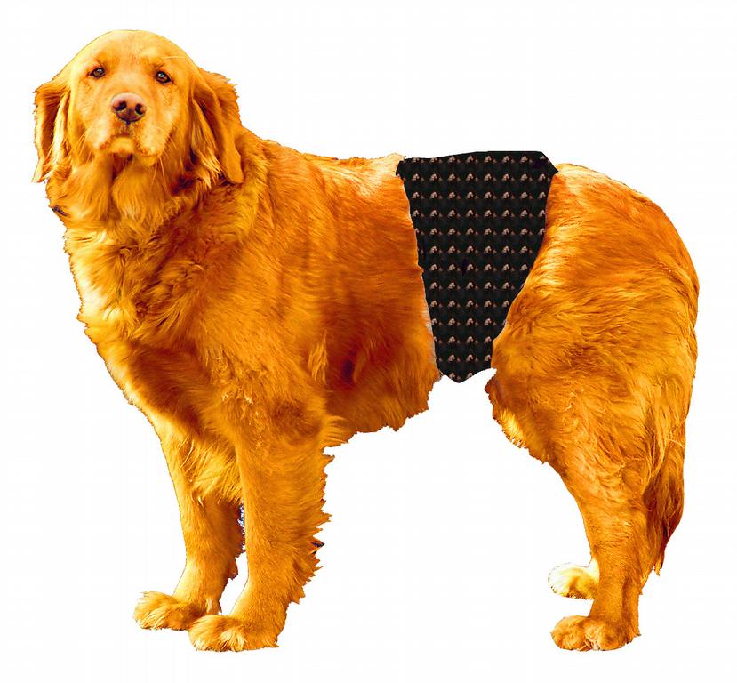 Evolve Pet Food Reviews Evolve Pet Food Reviews